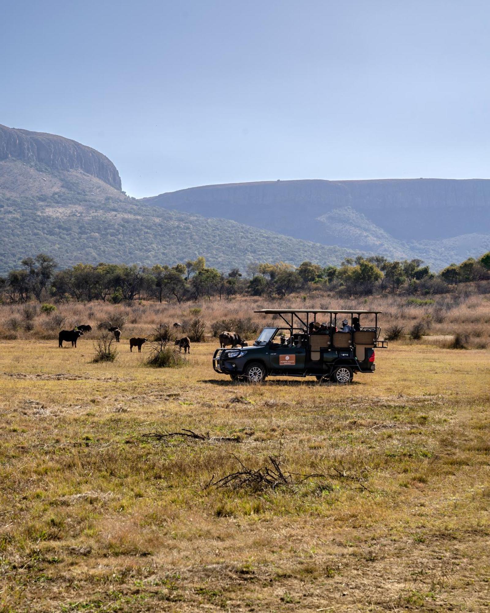 African Hills Safari Lodge & Spa Magaliesburg Exterior foto